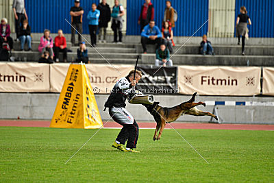 Ozone van het Dreiland