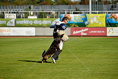 Ozone van het Dreiland