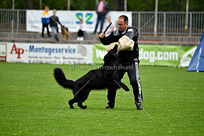 Pablo von der Sigisliebe