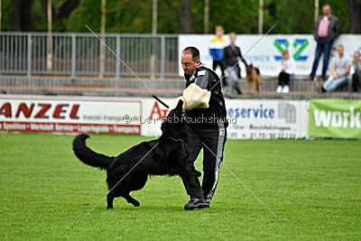 Pablo von der Sigisliebe
