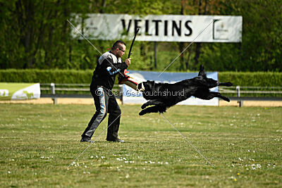 Pablo von der Sigisliebe