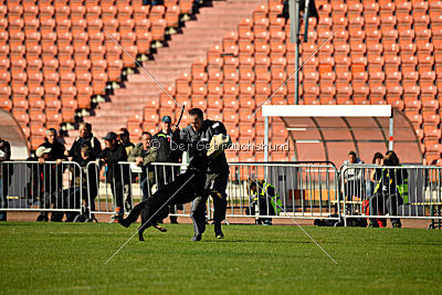 Packo vom Waisagrund