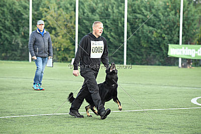 Packo vom Waisagrund