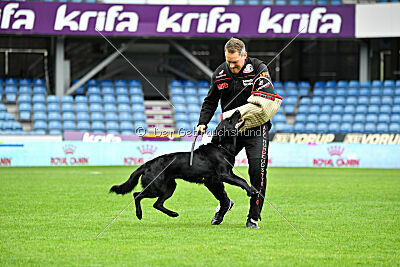 Pantera iz Vorta Wernogo