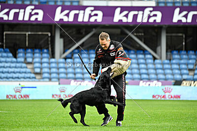 Pantera iz Vorta Wernogo