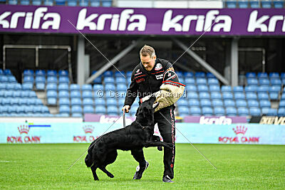 Pantera iz Vorta Wernogo