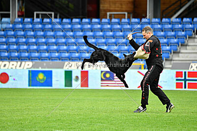 Pantera iz Vorta Wernogo