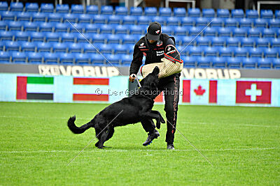 Pantera iz Vorta Wernogo