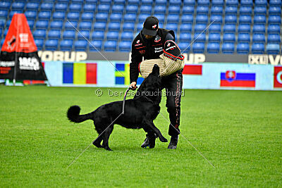 Pantera iz Vorta Wernogo