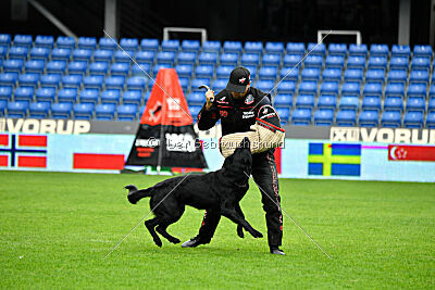 Pantera iz Vorta Wernogo