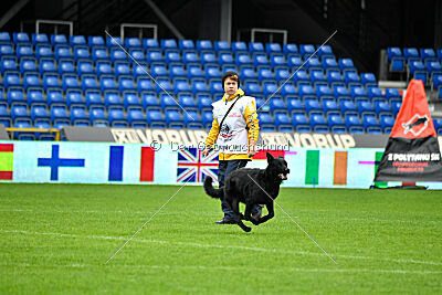 Pantera iz Vorta Wernogo