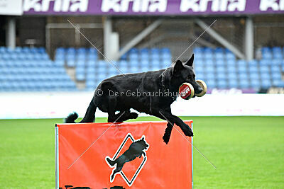 Pantera iz Vorta Wernogo