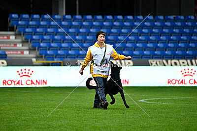 Pantera iz Vorta Wernogo