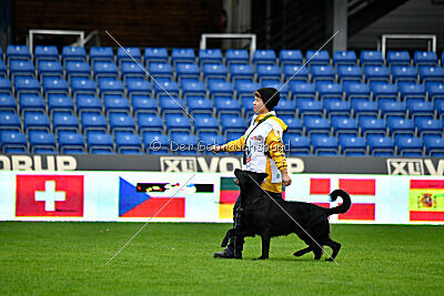 Pantera iz Vorta Wernogo