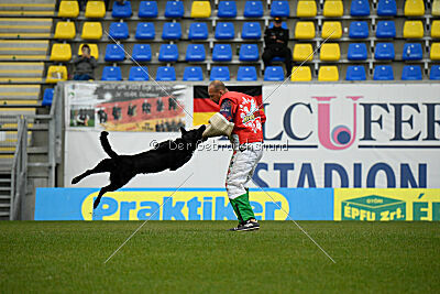 Pantera iz Vorta Wernogo