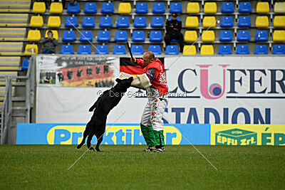 Pantera iz Vorta Wernogo