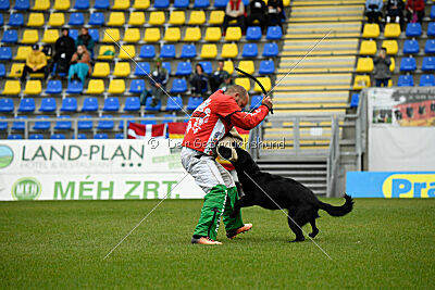 Pantera iz Vorta Wernogo