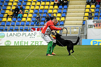 Pantera iz Vorta Wernogo