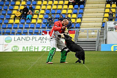 Pantera iz Vorta Wernogo