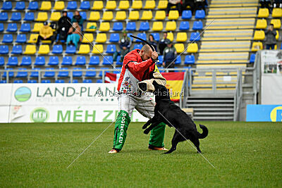 Pantera iz Vorta Wernogo