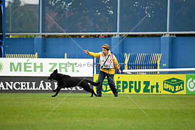 Pantera iz Vorta Wernogo