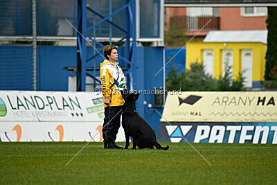 Pantera iz Vorta Wernogo