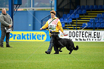 Pantera iz Vorta Wernogo