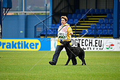 Pantera iz Vorta Wernogo