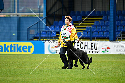 Pantera iz Vorta Wernogo