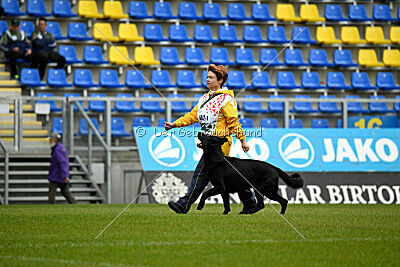 Pantera iz Vorta Wernogo