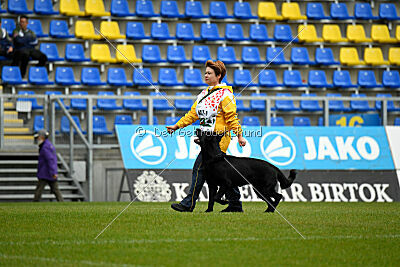 Pantera iz Vorta Wernogo