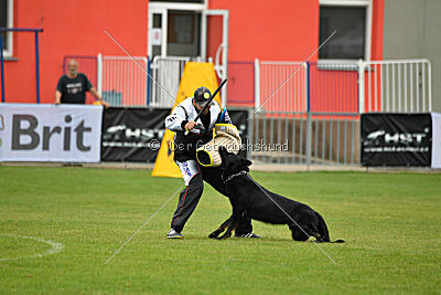 Panther z Berounské basty