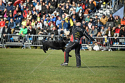 Panther z Berounské basty