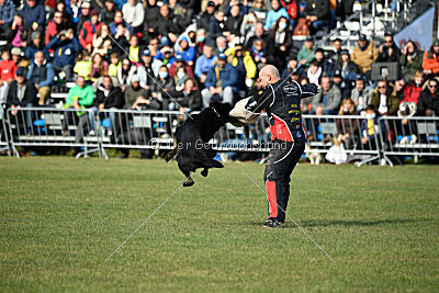 Panther z Berounské basty