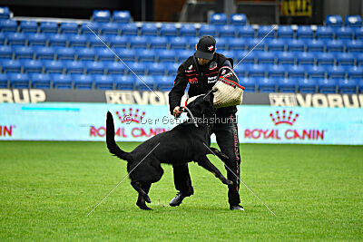 Panther z Berounské bašty