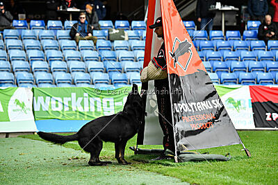 Panther z Berounské bašty