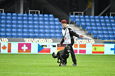 Panther z Berounské bašty