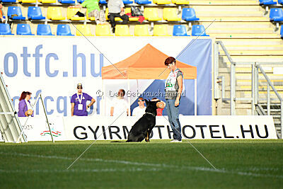 Panther z Berounské bašty