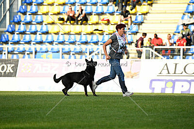 Panther z Berounské bašty