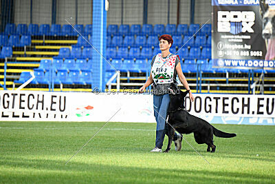 Panther z Berounské bašty