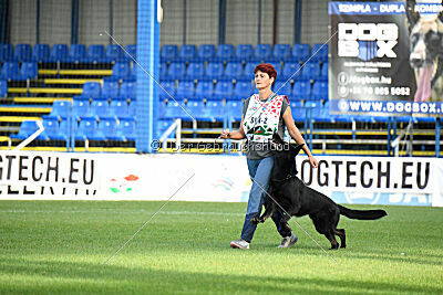 Panther z Berounské bašty