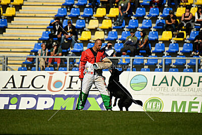 Panther z Berounské bašty