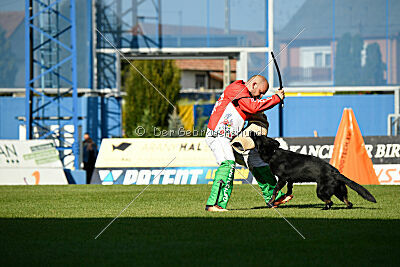 Panther z Berounské bašty