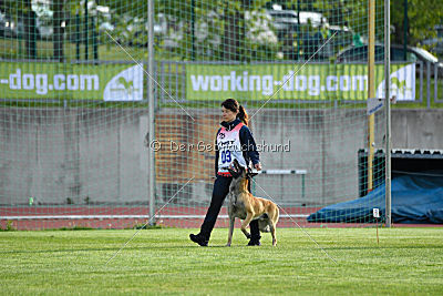 Parendo Vinces Alexander