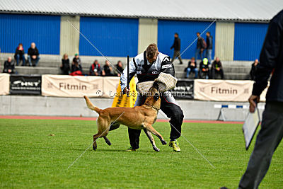 Parendo Vinces Alexander