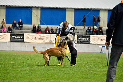 Parendo Vinces Alexander