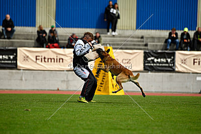 Parendo Vinces Alexander