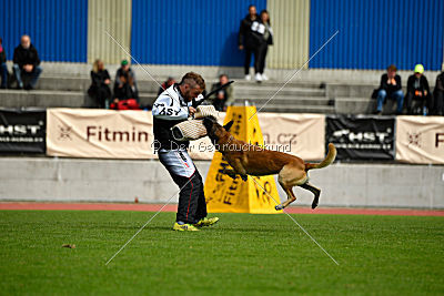 Parendo Vinces Alexander