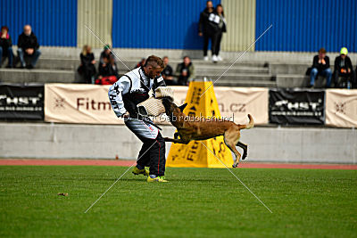 Parendo Vinces Alexander