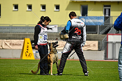 Parendo Vinces Alexander